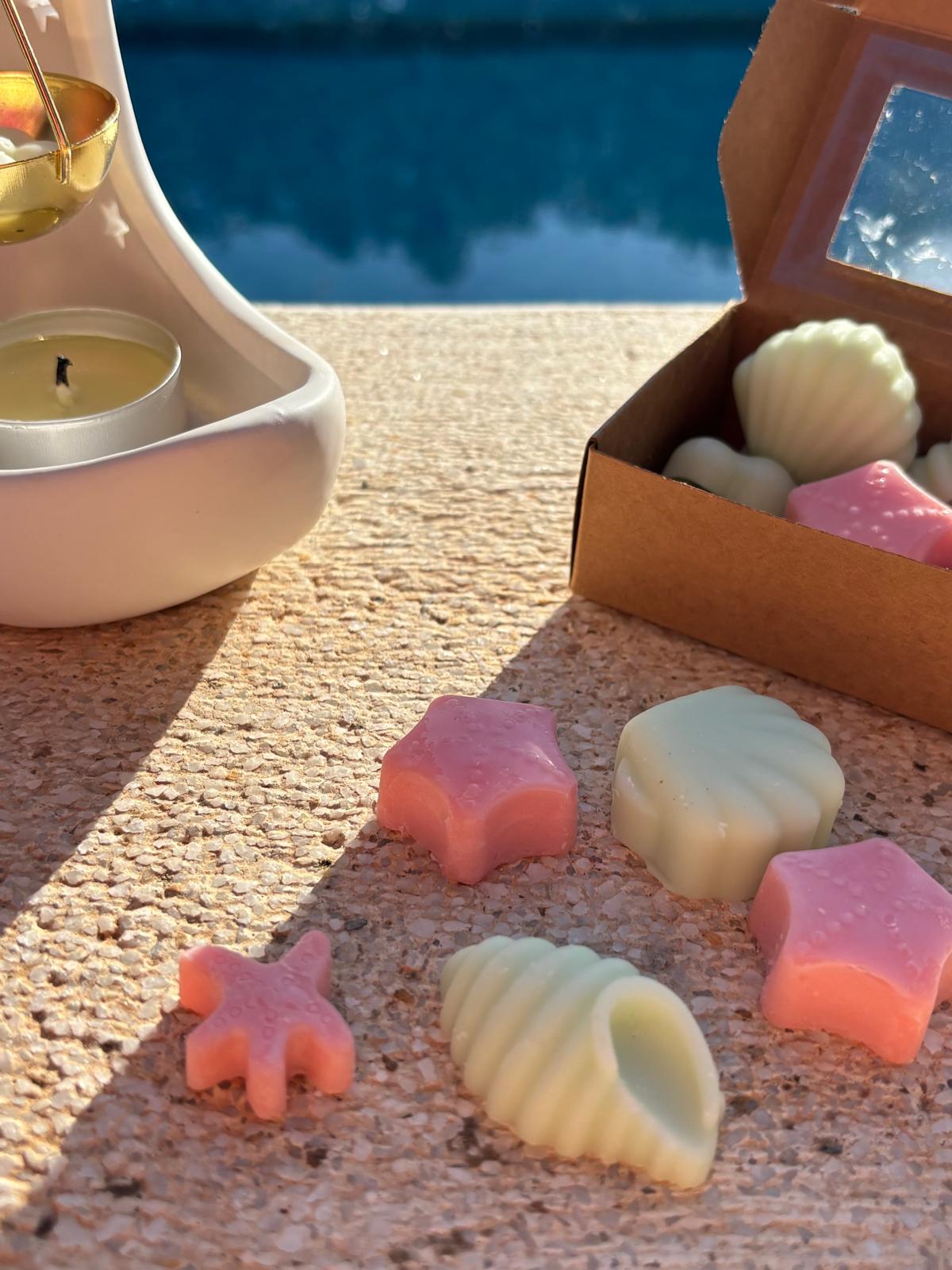 Wax melts Sandía - Menta Atelier