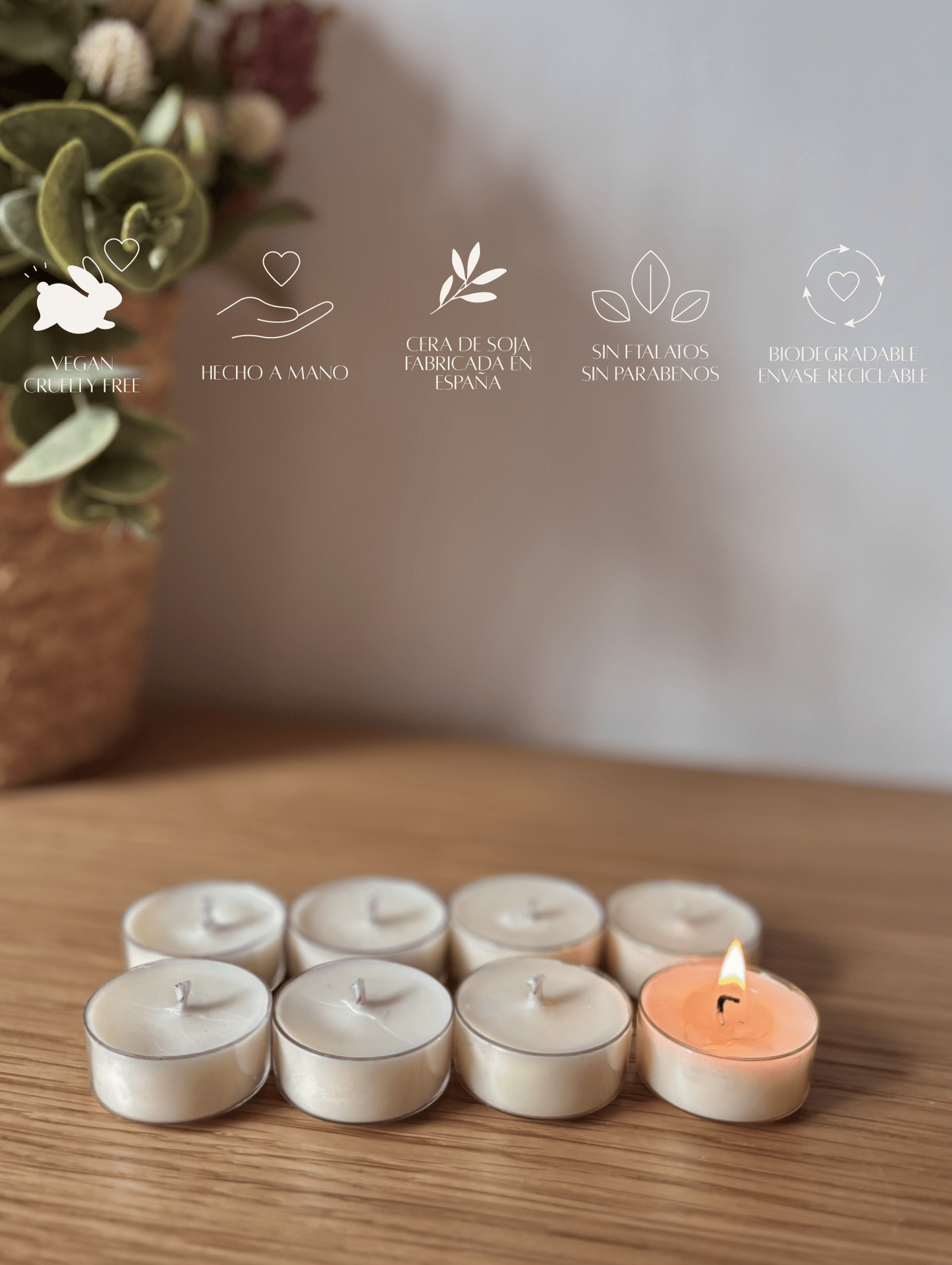 Velas de té sin fragancia - Menta Atelier