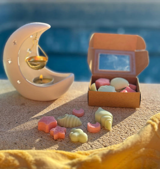 Wax melts Sandía - Menta Atelier